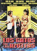 Los gatos de las azoteas Breasts Bush 84018