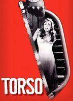 Torso Breasts Bush 111741