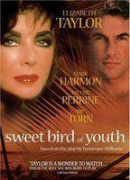 Sweet Bird of Youth Breasts Bush 89008