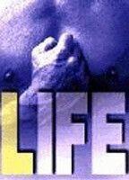 Life Breasts Bush 71701