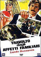 Travolto dagli affetti familiari Breasts Bush 90827