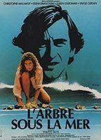 L' arbre sous la mer Breasts Bush 92286