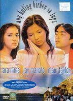 Ang huling birhen sa lupa Breasts Butt 69296