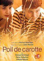 Poil de carotte Breasts Bush 88752