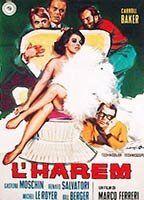L' harem Breasts Butt 90133
