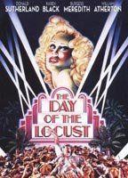 The Day of the Locust Breasts Bush 84359