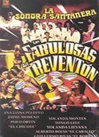 Las Fabulosas del Reventón Breasts Bush 90550