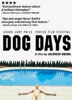 Dog Days Bikini Breasts 80434