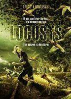 Locusts Underwear 88824