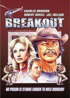 Breakout Breasts Underwear 96050