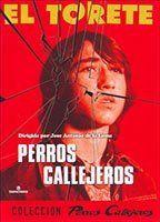 Perros callejeros Breasts Bush 92382