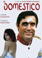 Il domestico Breasts Underwear 93326