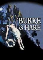 Burke & Hare Breasts Bush 118431