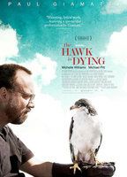 The Hawk Is Dying