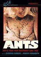 Ants! Sexy 94013