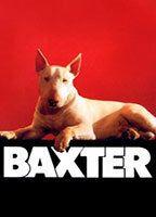 Baxter Breasts 92377