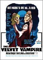 The Velvet Vampire Breasts Butt 73983