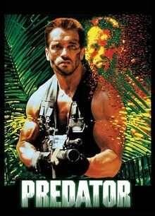 Predator Sexy 134647