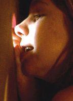 Stühle im Schnee Breasts Bush 73990