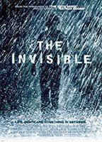 The Invisible Sexy* 93045