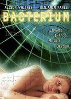 Bacterium Breasts Bush 83553