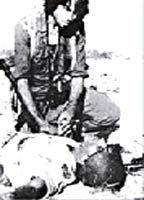 Ayit, Ha- Butt* 66762