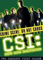 CSI: Crime Scene Investigation Bikini Breasts 71885