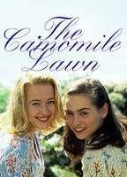 The Camomile Lawn Breasts Bush 116493