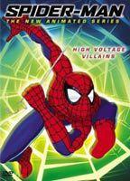 Spider-Man 71357