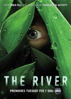 The River 75382