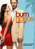 Burn Notice Bikini Butt 71192