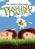 Pushing Daisies Sexy Underwear 71684