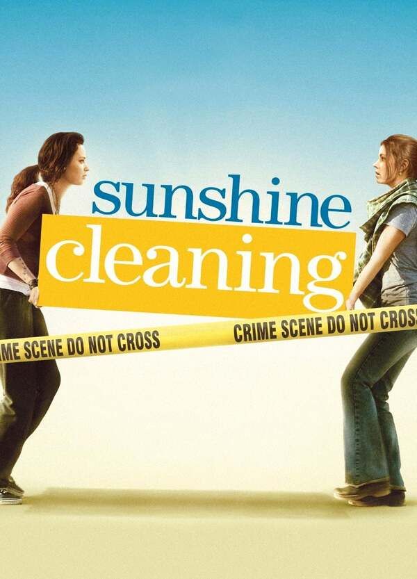 Sunshine Cleaning