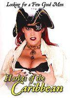 Bikini Pirates Breasts Bush 67288