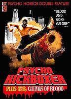 Dark Angel: Psycho Kickboxer Breasts Bush 67551