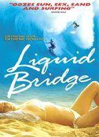 Liquid Bridge Breasts 68325
