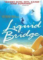 Liquid Bridge Breasts 68325