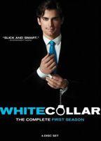 White Collar 71798