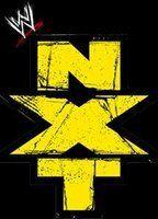 WWE NXT Breasts Right Nipslip 77147