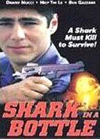 Shark in a Bottle 73027