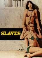 Slaves Breasts Bush 112100