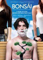 Bonsái Breasts Bush 77389