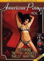 American Pinups - Vol. 2 Breasts 75580