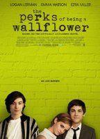 The Perks of Being a Wallflower Sexy Underwear 79636
