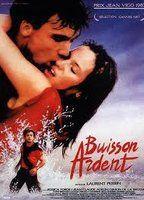 Buisson ardent 82254