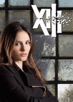 XIII: The Series