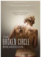 The Broken Circle Breakdown Bikini Breasts 82795