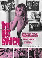 The Big Switch 86849