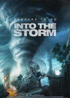 Into the Storm 88442