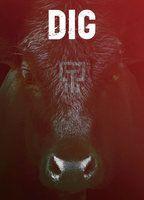 Dig Sexy 90687